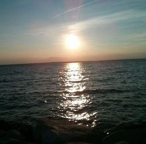 Meet your Posher, Missy